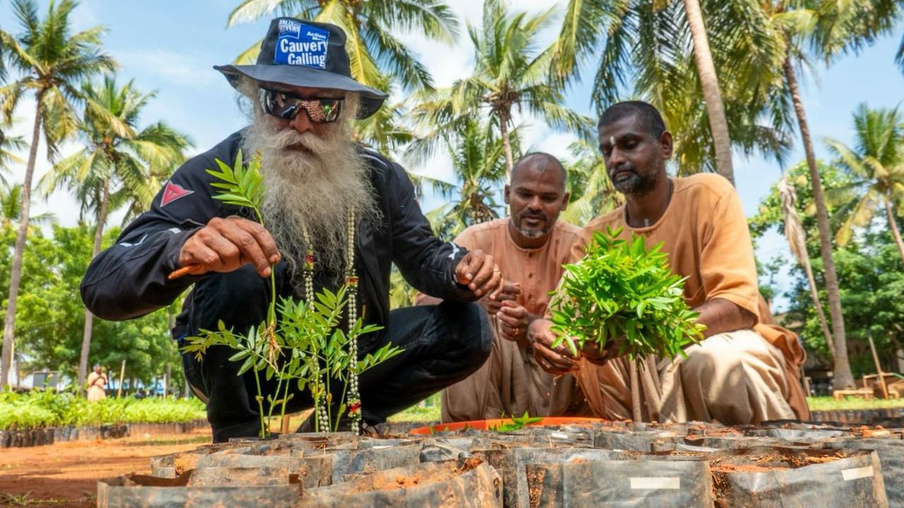 World Environment Day: ಕಾವೇರಿ ಕಾಲಿಂಗ್​​ ಅಭಿಯಾನದಡಿ 1 ವರ್ಷದಲ್ಲಿ 1.36 ಕೋಟಿ ಗಿಡಗಳನ್ನು ನೆಡಲಾಗಿದೆ