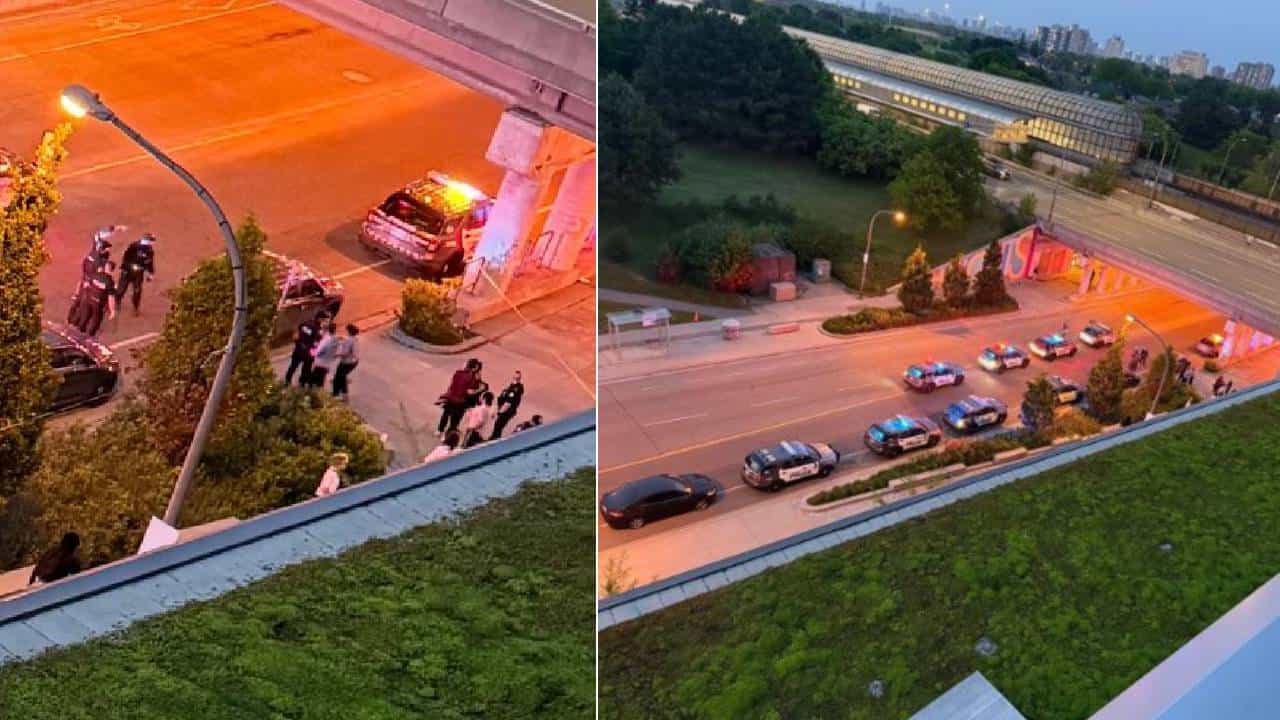 Toronto Mass Shooting: ಕೆನಡಾದ ಟೊರೊಂಟೊದಲ್ಲಿ ಸಾಮೂಹಿಕ ಗುಂಡಿನ ದಾಳಿ, ಓರ್ವ ಸಾವು Toronto Mass Shooting: ಕೆನಡಾದ ಟೊರೊಂಟೊದಲ್ಲಿ ಸಾಮೂಹಿಕ ಗುಂಡಿನ ದಾಳಿ, ಓರ್ವ ಸಾವು
