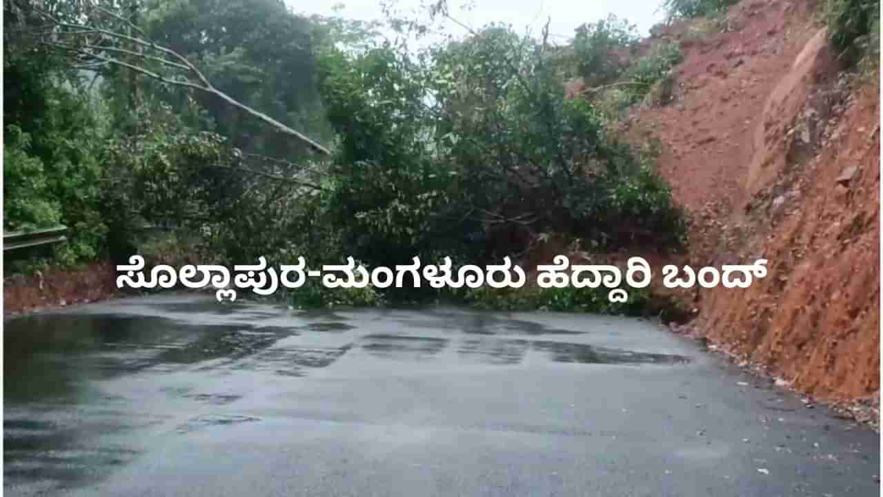 ಚಿಕ್ಕಮಗಳೂರಿನಲ್ಲಿ ಮಳೆಯಿಂದ ಗುಡ್ಡ ಕುಸಿತ: ಸೊಲ್ಲಾಪುರ-ಮಂಗಳೂರು ಹೆದ್ದಾರಿ ಬಂದ್