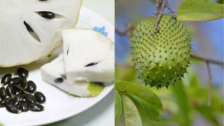 ಅಪಘಾತದ ಕೊನೆಯ ಕ್ಷಣದಲ್ಲಿ ಮೆದುಳು ಹೇಗೆ ಕೆಲಸ ಮಾಡುತ್ತದೆ? ನರವಿಜ್ಞಾನಿಗಳು ಹೇಳೋದೇನು?