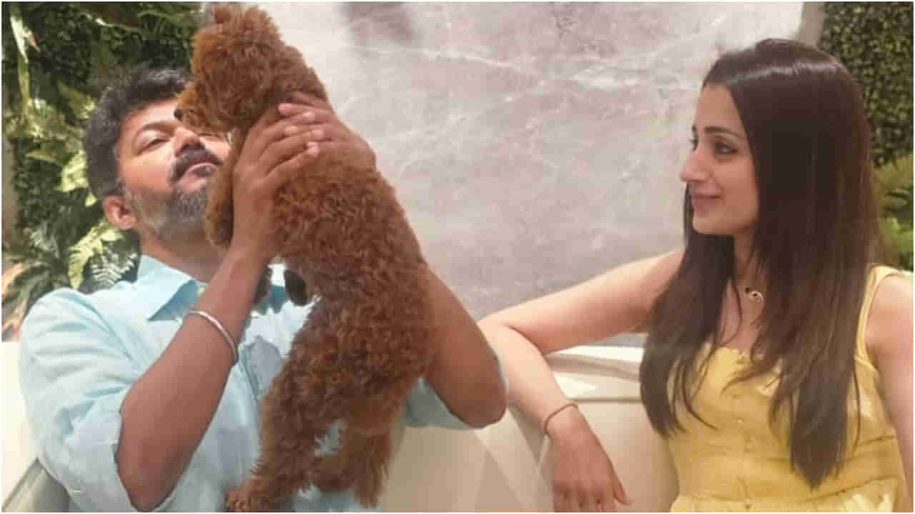 ತ್ರಿಶಾ ಕೃಷ್ಣನ್ ಜೊತೆ ವಿಜಯ್ ಡೇಟಿಂಗ್? ಅನುಮಾನಕ್ಕೆ ಬಲ ತುಂಬಿದೆ ಈ ಫೋಟೋ