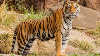 ನೀಟ್ ಪರೀಕ್ಷೆಯಲ್ಲಿ ಕರ್ನಾಟಕದ ವಿದ್ಯಾರ್ಥಿನಿಗೆ ಅನ್ಯಾಯ: ಯುಜಿ​ ಪರೀಕ್ಷೆಯಲ್ಲಿ ನಡೆಯಿತಾ ಗೋಲ್ ಮಾಲ್?