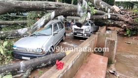 ಮಳೆ ಅಬ್ಬರ ಜೋರು; ಮಂಗಳೂರು, ಚಿಕ್ಕಮಗಳೂರಿನ ಹಲವೆಡೆ ಅನಾಹುತ ಮಳೆ ಅಬ್ಬರ ಜೋರು; ಮಂಗಳೂರು, ಚಿಕ್ಕಮಗಳೂರಿನ ಹಲವೆಡೆ ಅನಾಹುತ