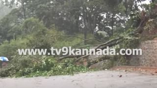 ಹಾಸನ: ಮೂರು ಖಾಸಗಿ ಶಾಲೆಗಳಿಗೆ ಬಾಂಬ್ ಬೆದರಿಕೆ ಸಂದೇಶ