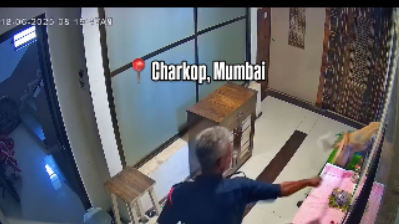Video: ಸೆಕ್ಯೂರಿಟಿ ಗಾರ್ಡ್​​​​ನ ಹಿಂಸೆ ತಾಳಲಾರದೆ 17ನೇ ಮಹಡಿಯಿಂದ ಬಲವಂತವಾಗಿ ಜಿಗಿದು ಸಾವನ್ನಪ್ಪಿದ ನಾಯಿ