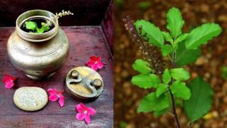 Jagannath Rath Yatra 2025: ಪುರಿ ಜಗನ್ನಾಥ ದೇವಸ್ಥಾನಕ್ಕೆ ಅವಿವಾಹಿತ ಜೋಡಿ ಏಕೆ ಭೇಟಿ ನೀಡಬಾರದು?