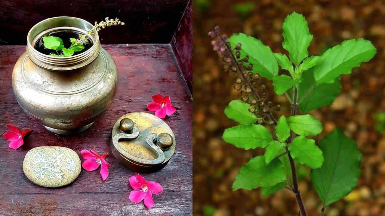 Hindu Rituals: ಮೃತ ವ್ಯಕ್ತಿಗಳ ಬಾಯಿಗೆ ಗಂಗಾಜಲ ಮತ್ತು ತುಳಸಿ ಎಲೆ ಏಕೆ ಹಾಕುತ್ತಾರೆ?