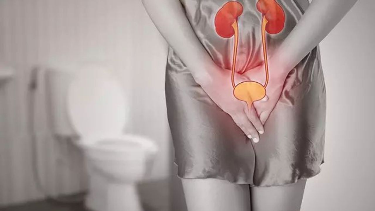 ಪದೇ ಪದೇ ಮೂತ್ರ ಸೋಂಕು ಬರುತ್ತಿದೆಯೇ? ಚಿಂತೆ ಬೇಡ ಇಲ್ಲಿದೆ ನೋಡಿ ಪರಿಹಾರ ಪದೇ ಪದೇ ಮೂತ್ರ ಸೋಂಕು ಬರುತ್ತಿದೆಯೇ? ಚಿಂತೆ ಬೇಡ ಇಲ್ಲಿದೆ ನೋಡಿ ಪರಿಹಾರ