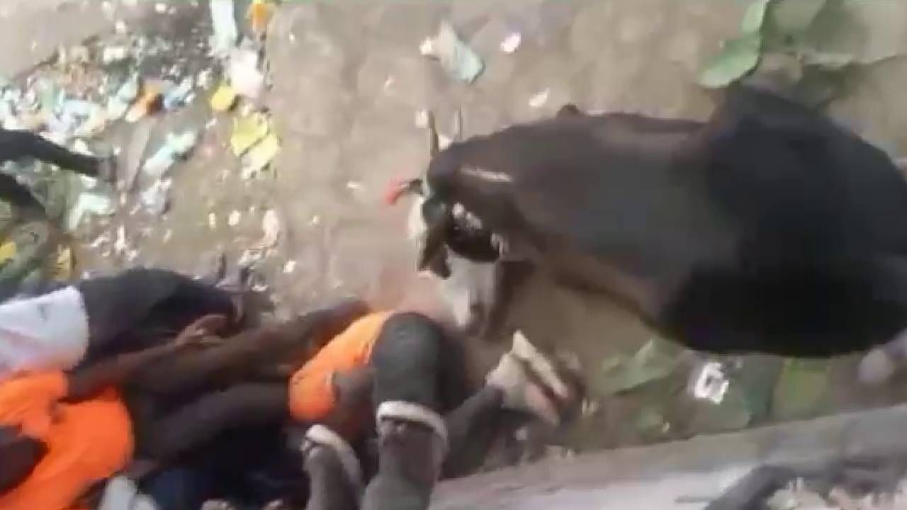 ನಂತರ ಎತ್ತು ವಾಪಸ್ ಓಡುವಾಗ ಯುವತಿಯೋರ್ವಳ ಮೇಲೆ ಹತ್ತಿಳಿದ ಕಾರಣ ಯುವತಿ ಪ್ರಜ್ಞೆ ತಪ್ಪಿ ಬಿದ್ದಳು. ಆಕೆಯನ್ನು ಅಂಬ್ಯುಲೆನ್ಸ್ ಮೂಲಕ ಆಸ್ಪತ್ರೆಗೆ ರವಾನೆ ಮಾಡಲಾಯಿತು. ಇನ್ನು, ಜಾನುವಾರುಗಳನ್ನು ಬೆದರಿಸುವ ವೇಳೆ ಸ್ವಲ್ಪ ಯಾಮಾರಿದರೂ ಅಪಾಯ ಕಟ್ಟಿಟ್ಟ ಬುತ್ತಿ. ಎತ್ತೊಂದು ಓಡಿ ಬರುವಾಗ ವ್ಯಕ್ತಿಯೋರ್ವ ಮೈಮರೆತು ನಿಂತಿದ್ದನು. ಈತನ ಬಳಿಗೆ ಬಂದ ಎತ್ತು ಕೊಂಬಿನಲ್ಲಿ ಆತನನ್ನು ಎತ್ತಿ ಬೀಸಾಡಿದೆ. ಆದರೆ, ಈ ಬಾರಿ ಯಾರೋಬ್ಬರ ಪ್ರಾಣಕ್ಕೆ ಕುತ್ತು ತರುವ ಘಟನೆಗಳು ನಡೆದಿಲ್ಲ ಎಂಬುದು ಸಮಾಧಾನದ ವಿಚಾರವಾಗಿದೆ. 