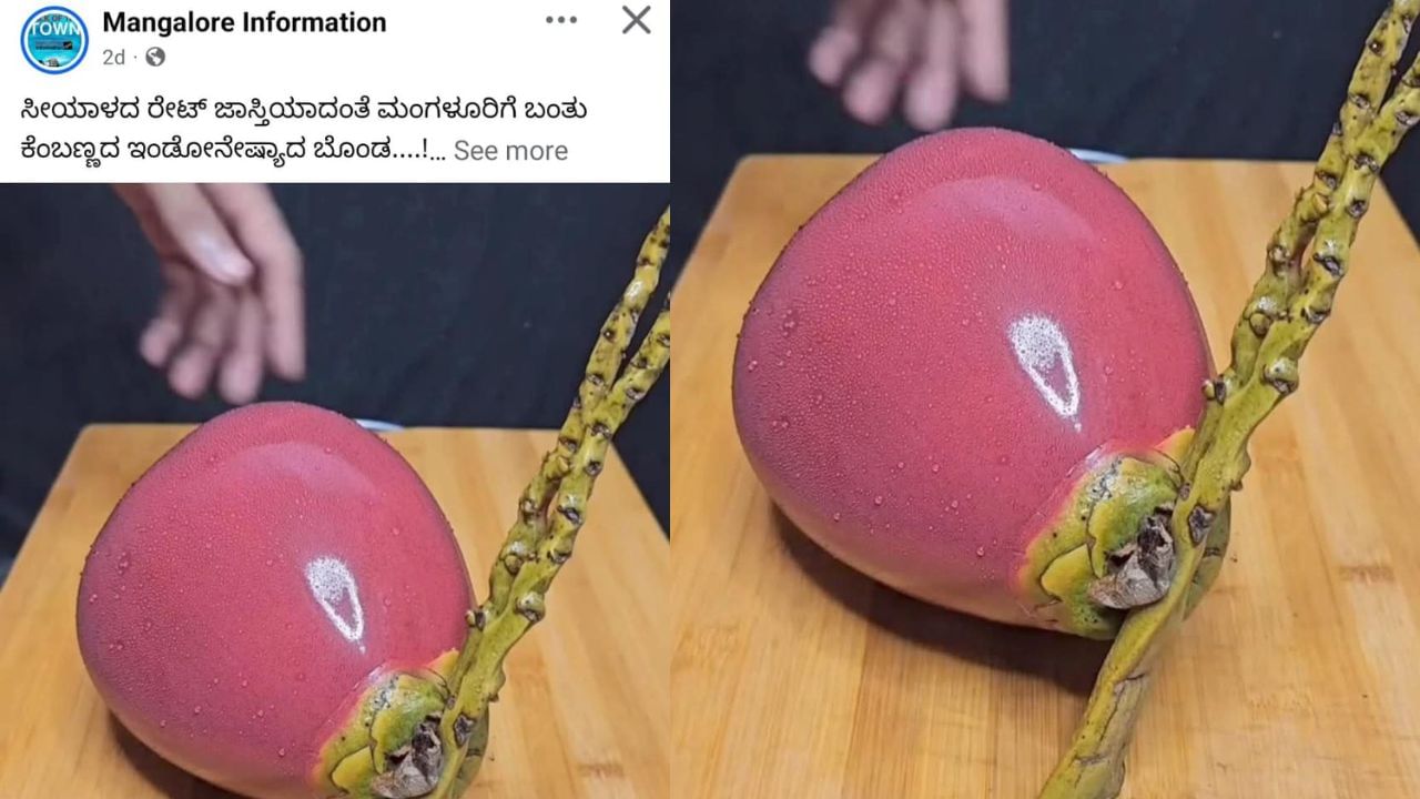 Viral : ಮಂಗಳೂರಿಗೆ ಬಂತಾ ಇಂಡೋನೇಷ್ಯಾದ ಗುಲಾಬಿ ಬಣ್ಣದ ಎಳನೀರು?