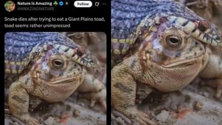 Video: ಇದೆಂಥಾ ಅಹಸ್ಯ; ಕುಡಿದ ಮತ್ತಲ್ಲಿ ರೈಲಿನ ಮಹಿಳಾ ಕೋಚ್‌ನಲ್ಲಿ ಪ್ಯಾಂಟ್‌ ಜಿಪ್‌ ತೆರೆದು ನಿಂತ ಯುವಕ