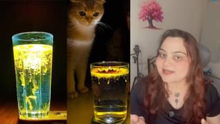 International Day Against Drug Abuse 2025: ಮಾದಕ ವಸ್ತುಗಳಿಂದ ದೂರವಿರಿ, ಆರೋಗ್ಯವನ್ನು ಕಾಪಾಡಿಕೊಳ್ಳಿ