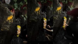 Video: ಮರದ ಬುಡದಿಂದ ಚಿಮ್ಮಿದ ನೀರು, ದೈವಿಕ ಮರ ಎಂದ ಸ್ಥಳೀಯರು, ಅಸಲಿ ವಿಚಾರ ಇಲ್ಲಿದೆ ನೋಡಿ