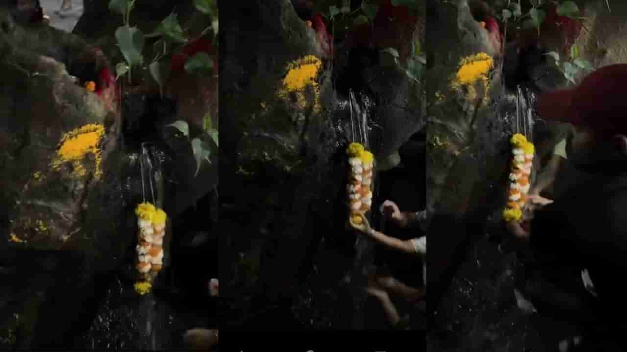 Video: ಮರದ ಬುಡದಿಂದ ಚಿಮ್ಮಿದ ನೀರು, ದೈವಿಕ ಮರ ಎಂದ ಸ್ಥಳೀಯರು, ಅಸಲಿ ವಿಚಾರ ಇಲ್ಲಿದೆ ನೋಡಿ