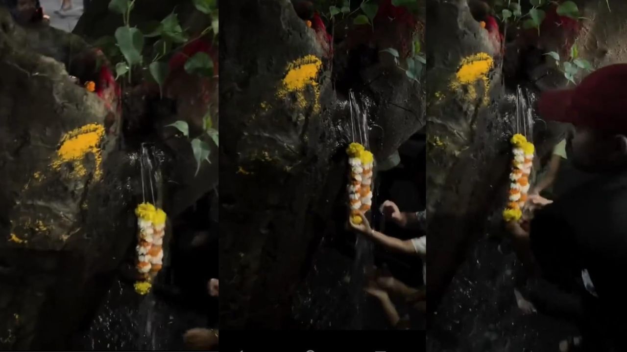 Video: ಮರದ ಬುಡದಿಂದ ಚಿಮ್ಮಿದ ನೀರು, ದೈವಿಕ ಮರ ಎಂದ ಸ್ಥಳೀಯರು, ಅಸಲಿ ವಿಚಾರ ಇಲ್ಲಿದೆ ನೋಡಿ Video: ಮರದ ಬುಡದಿಂದ ಚಿಮ್ಮಿದ ನೀರು, ದೈವಿಕ ಮರ ಎಂದ ಸ್ಥಳೀಯರು, ಅಸಲಿ ವಿಚಾರ ಇಲ್ಲಿದೆ ನೋಡಿ