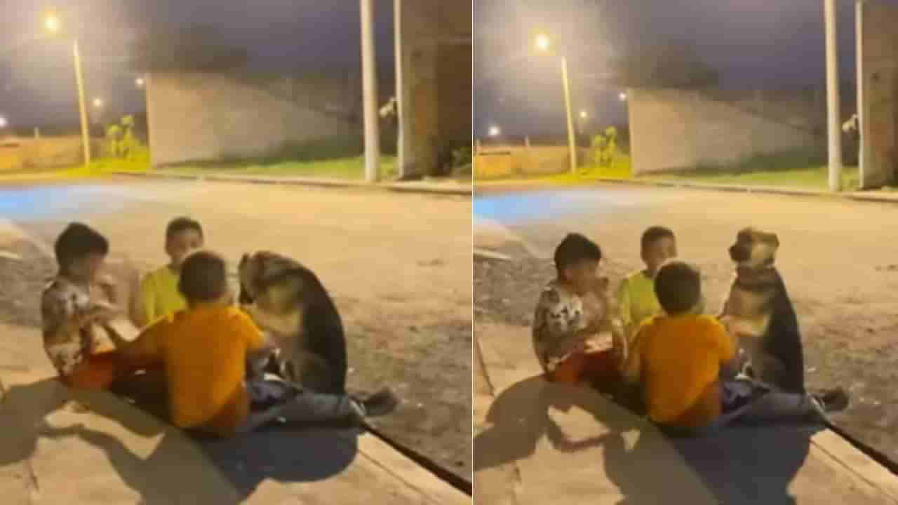 Video: ನಾನೂ ಬರ್ತೀನಿ ಕಂಡ್ರೋ… ಮಕ್ಕಳೊಂದಿಗೆ ಮಗುವಾಗಿ ಆಟವಾಡಿದ ಶ್ವಾನ