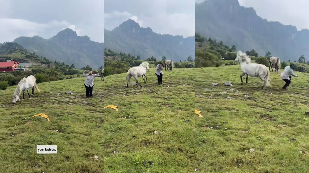 Video: ರೀಲ್ಸ್‌ ಮಾಡಲು ಬಂದಾಕೆಗೆ ಜಾಡಿಸಿ ಒದ್ದ ಕುದುರೆ; ವಿಡಿಯೋ ವೈರಲ್‌