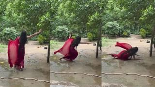 Optical Illusion : ಈ ಚಿತ್ರದಲ್ಲಿ ಎಷ್ಟು ಪ್ರಾಣಿಗಳಿವೆ, ನಿಮ್ಮಿಂದ ಹೇಳಲು ಸಾಧ್ಯನಾ?