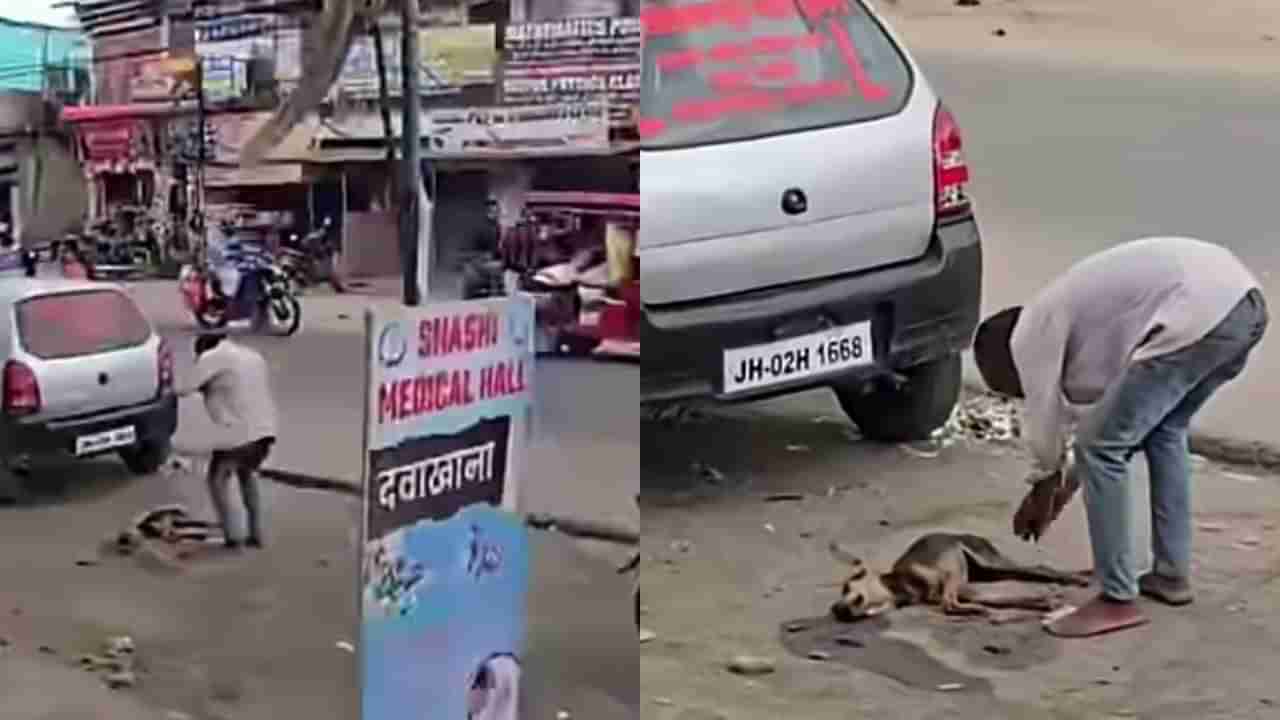 Video : ರಸ್ತೆಬದಿ ಮಲಗಿದ್ದ ಶ್ವಾನದ ಮೇಲೆ ಕಾರು ಹತ್ತಿಸಿ, ಮಾಡಿದ ತಪ್ಪಿಗೆ ಕ್ಷಮೆಯಾಚಿಸಿದ್ದು ಹೀಗೆ