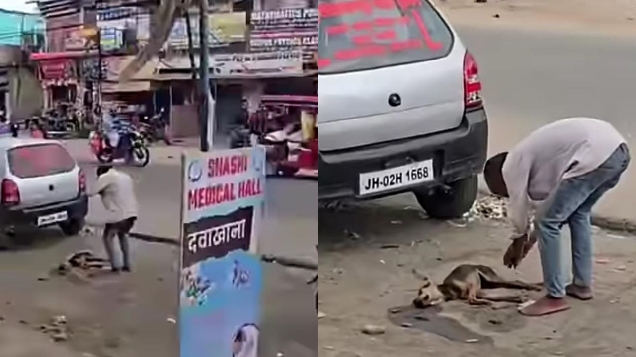 Video : ರಸ್ತೆಬದಿ ಮಲಗಿದ್ದ ಶ್ವಾನದ ಮೇಲೆ ಕಾರು ಹತ್ತಿಸಿ, ಮಾಡಿದ ತಪ್ಪಿಗೆ ಕ್ಷಮೆಯಾಚಿಸಿದ್ದು ಹೀಗೆ