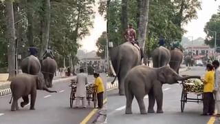 Viral : HMT ವಾಚ್‌ನಲ್ಲೂ ಕನ್ನಡದ ಕಂಪು, ಈ ವಾಚ್ ಹೇಗಿದೆ ನೋಡಿ