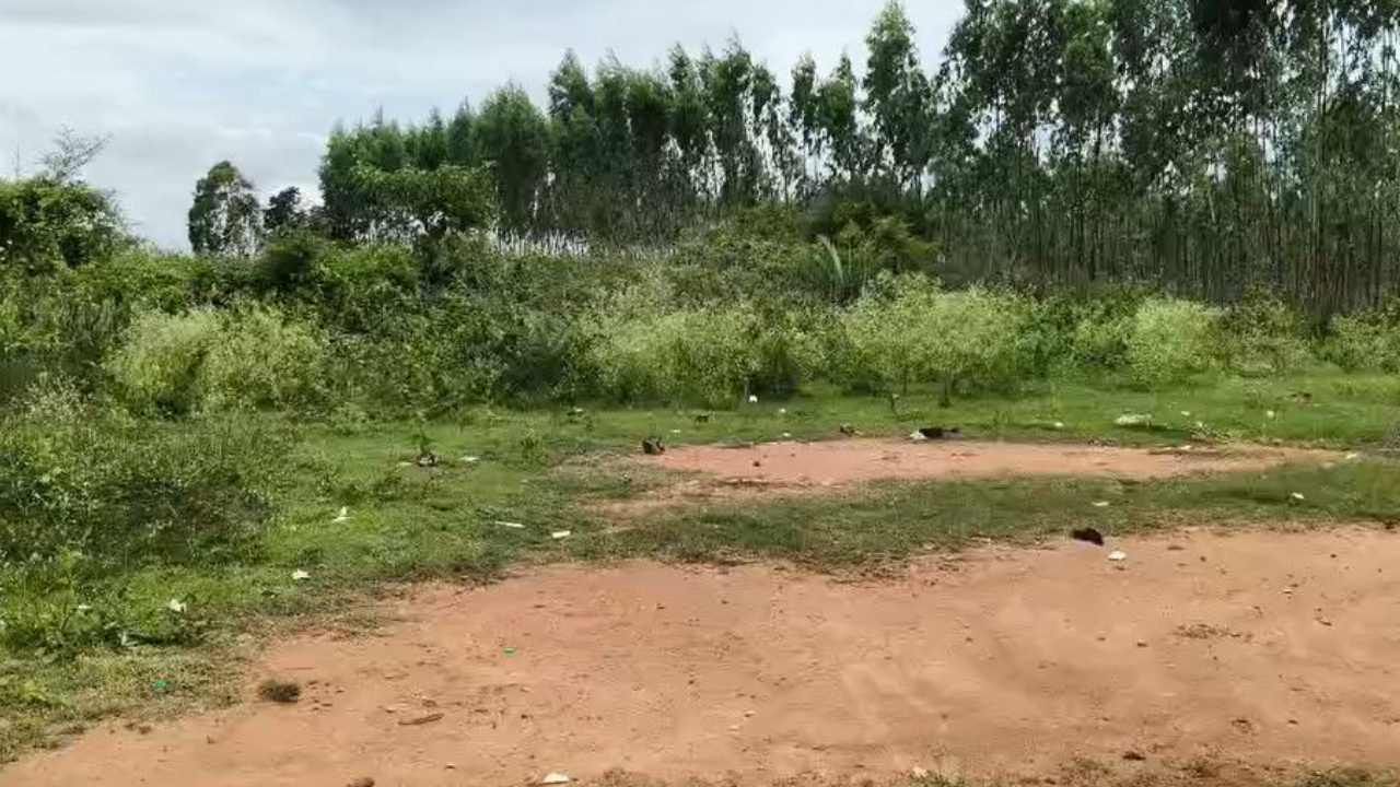 Devanahalli: ಭೂಗಳ್ಳರ ಪಾಲಾಗುತ್ತಿದ್ದ ಕೋಟ್ಯಂತರ ಮೌಲ್ಯದ ಸರ್ಕಾರಿ ಭೂಮಿ ಮರು ವಶಕ್ಕೆ Devanahalli: ಭೂಗಳ್ಳರ ಪಾಲಾಗುತ್ತಿದ್ದ ಕೋಟ್ಯಂತರ ಮೌಲ್ಯದ ಸರ್ಕಾರಿ ಭೂಮಿ ಮರು ವಶಕ್ಕೆ