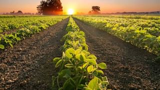 Agri, Renewables: ಕೃಷಿ, ನವೀಕರಣ ಇಂಧನ ಕ್ಷೇತ್ರ ಬಲಪಡಿಸಲು 51,000 ರೂ ನೀಡಲು ಸಂಪುಟ ಸಮ್ಮತಿ