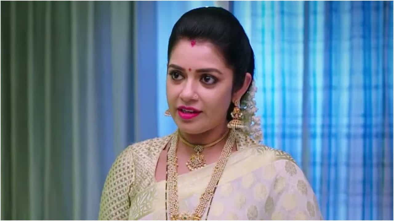 ‘ಅಮೃತಧಾರೆ’ ಧಾರಾವಾಹಿಯಲ್ಲಿ ದೊಡ್ಡ ತಿರುವು; ಭೂಮಿಕಾಗೆ ಅವಳಿ ಮಕ್ಕಳು