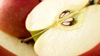 ಗಾಢ ನಿದ್ರೆಯಲ್ಲಿರುವಾಗ ಸಡನ್ನಾಗಿ ಎಚ್ಚರಗೊಳ್ಳುವ ಜರ್ಕಿಂಗ್‌ ಸಮಸ್ಯೆಗೆ ಕಾರಣವೇನು ಗೊತ್ತಾ?