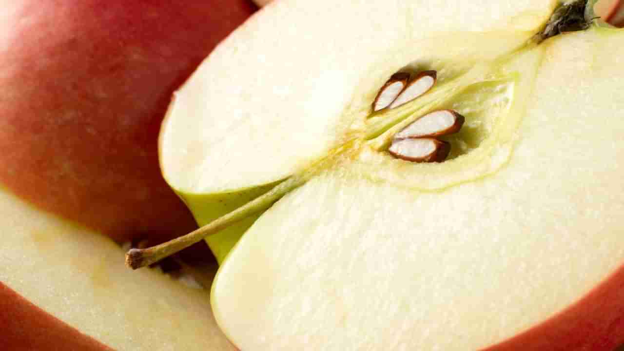 ಸೇಬು ಒಳ್ಳೆಯದು ಆದ್ರೆ ಅದರಲ್ಲಿರುವ ಬೀಜಗಳನ್ನು ಅಪ್ಪಿತಪ್ಪಿಯೂ ತಿನ್ನಬೇಡಿ! ಯಾಕೆ ಗೊತ್ತಾ?