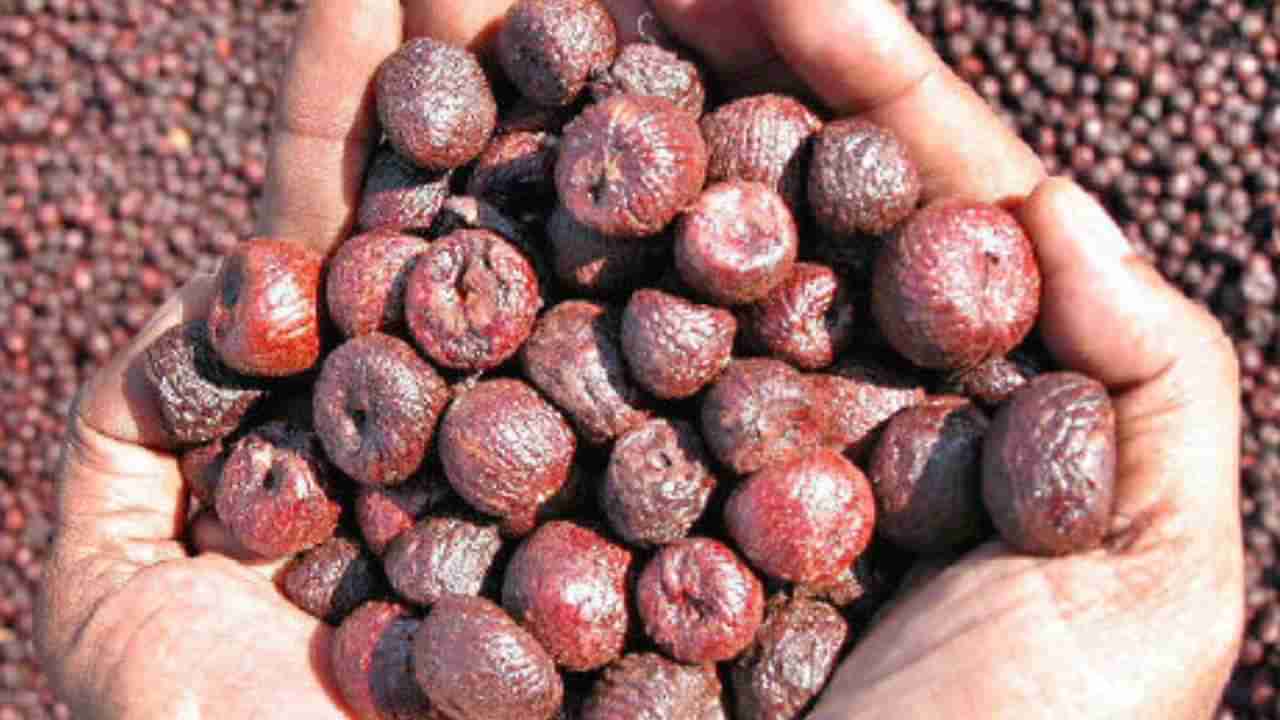 ಎಲೆ ಜತೆಗೆ ಅಡಿಕೆ ತಿಂದು ಉಗಿಯುವವರು ಈ ಸುದ್ದಿ ಓದಲೇಬೇಕು..!