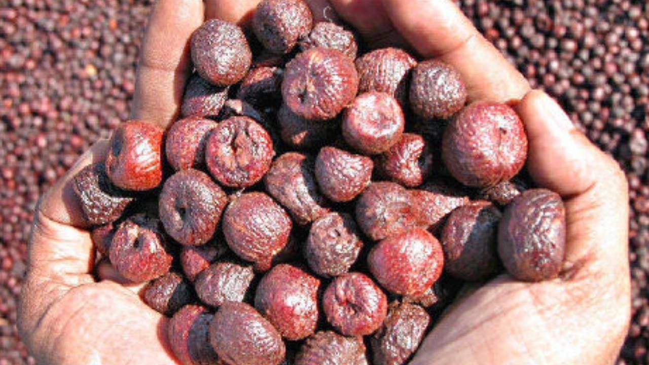 ಎಲೆ ಜತೆಗೆ ಅಡಿಕೆ ತಿಂದು ಉಗಿಯುವವರು ಈ ಸುದ್ದಿ ಓದಲೇಬೇಕು..!