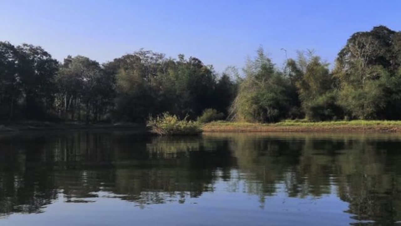 ಚಾಮರಾಜನಗರ ಹುಲಿ ಹತ್ಯೆ ಪ್ರಕರಣ: ಅರಣ್ಯ ಇಲಾಖೆ ಅಧಿಕಾರಿಗಳಿಗೆ ಬಿಸಿ ಮುಟ್ಟಿಸಿದ ರಾಜ್ಯ ಸರ್ಕಾರ