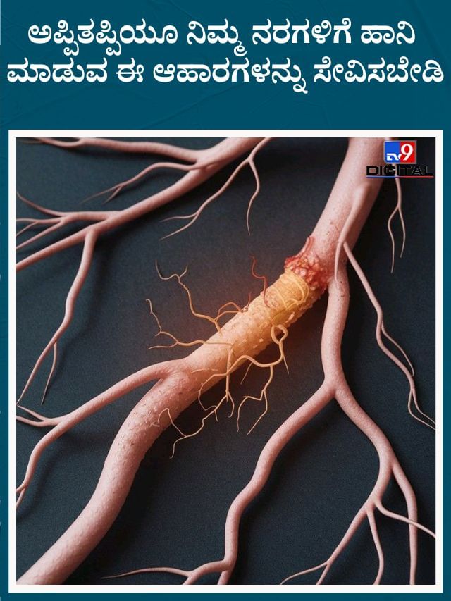 ನೀವು ಕೂಡ ಈ ಆಹಾರಗಳ ಸೇವನೆ ಮಾಡ್ತಿರಾ? ನರಗಳಿಗೆ ಹಾನಿ ಮಾಡುತ್ತೆ ಹುಷಾರ್