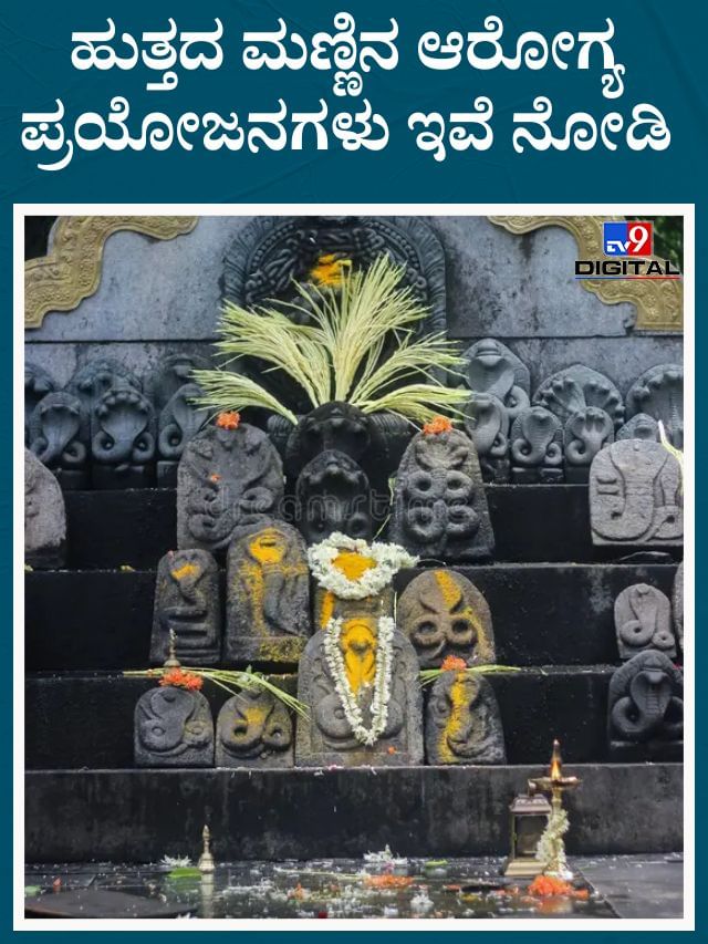 ಕೀಲು ನೋವಿನಿಂದ ಹಿಡಿದು ಚರ್ಮದ ಸಮಸ್ಯೆಗೂ ರಾಮಬಾಣ ಈ ಹುತ್ತದ ಮಣ್ಣು