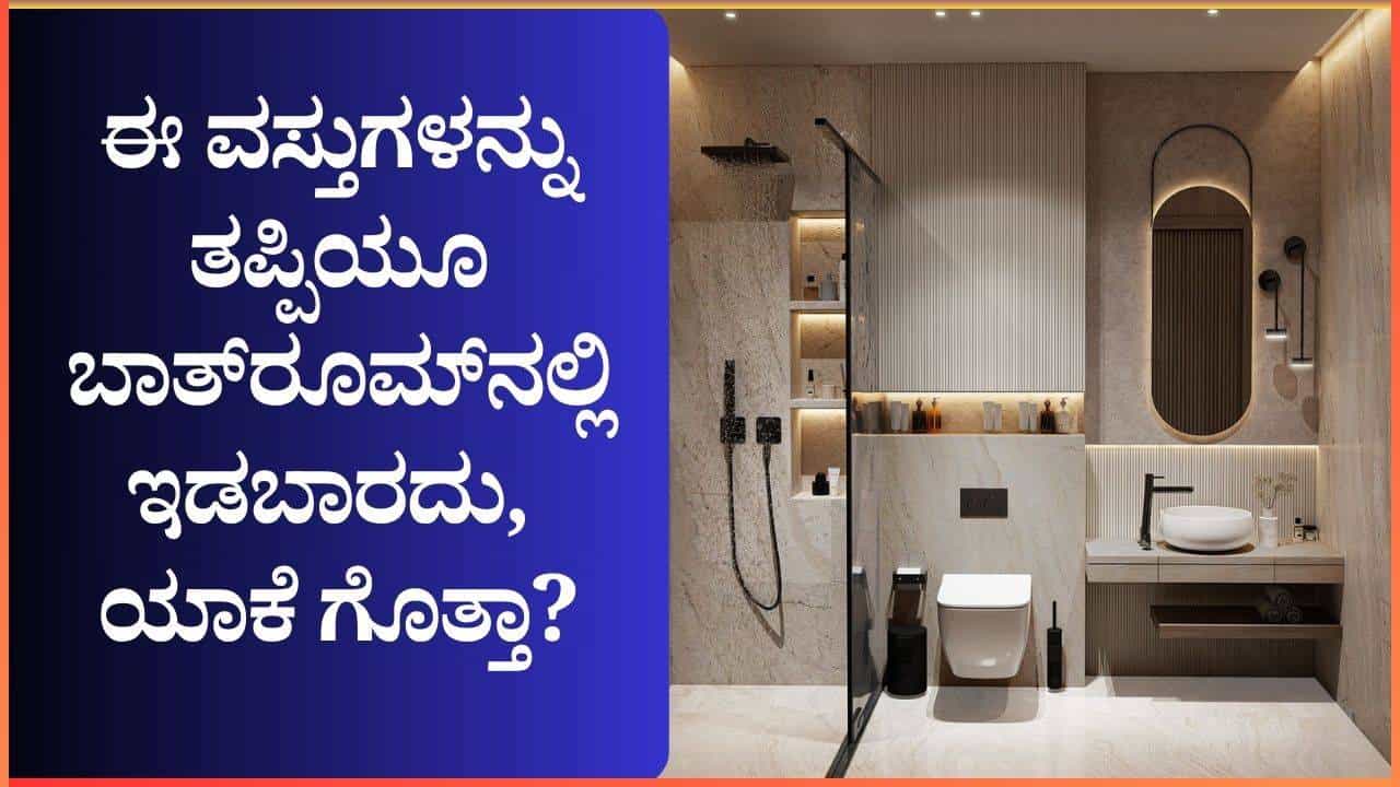 ಈ ವಸ್ತುಗಳನ್ನು ತಪ್ಪಿಯೂ ಬಾತ್‌ರೂಮ್‌ನಲ್ಲಿ ಇಡಬಾರದು; ಯಾಕೆ ಗೊತ್ತಾ?
