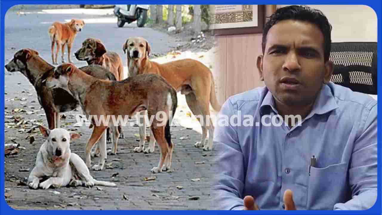 ಜನರಿಗೆ ಇಂದಿರಾ ಕ್ಯಾಂಟೀನ್, ಬೀದಿ ನಾಯಿಗಳಿಗೆ ಬಾಡೂಟ! ಬಿಬಿಎಂಪಿ ಹೊಸ ಯೋಜನೆ