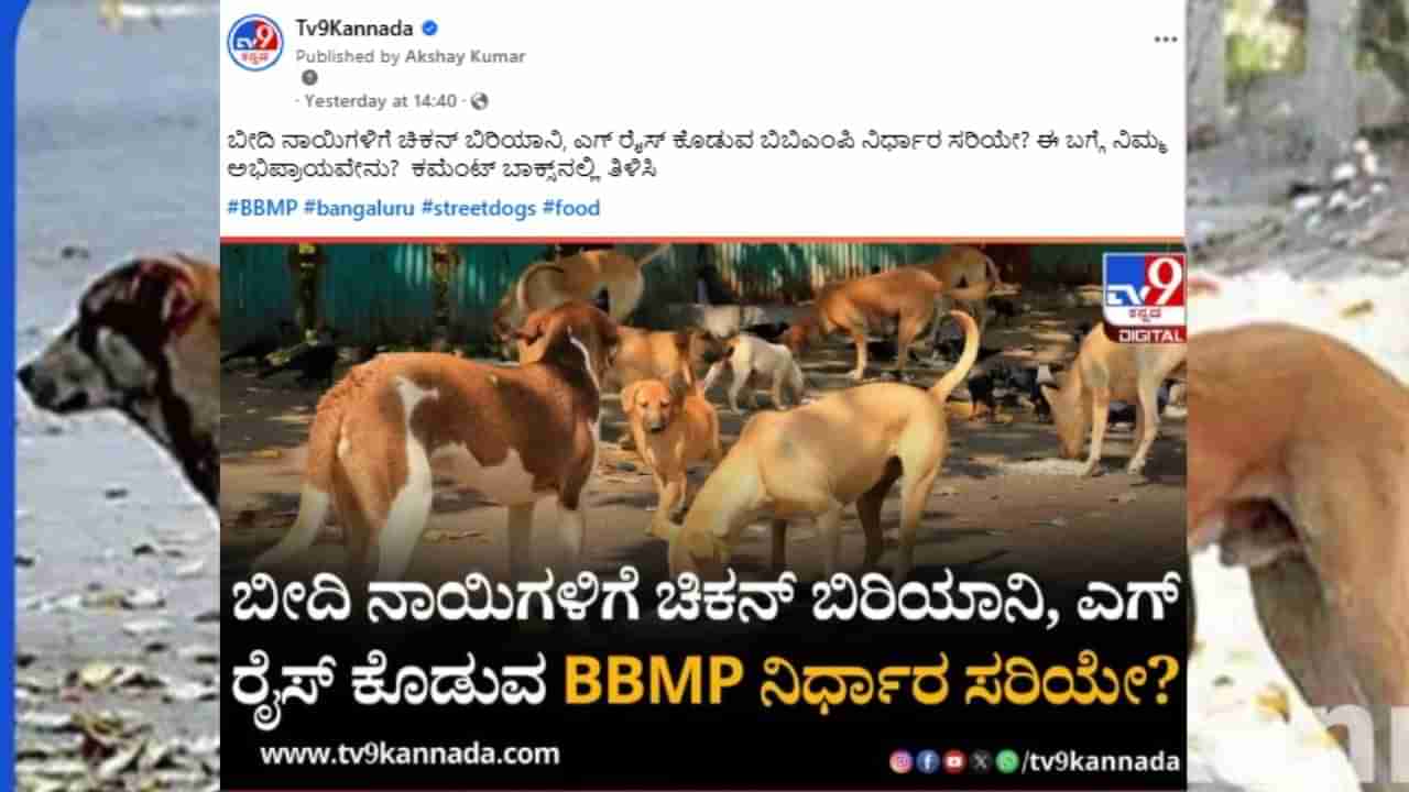 ಬೀದಿ ನಾಯಿಗಳಿಗೆ ಬಿಬಿಎಂಪಿ ಬಾಡೂಟ: ಸಾಮಾಜಿಕ ಮಾಧ್ಯಮಗಳಲ್ಲಿ ವ್ಯಾಪಕ ಆಕ್ರೋಶ