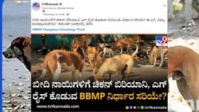 ಬೀದಿ ನಾಯಿಗಳಿಗೆ ಬಿಬಿಎಂಪಿ ಬಾಡೂಟ: ಸಾಮಾಜಿಕ ಮಾಧ್ಯಮಗಳಲ್ಲಿ ವ್ಯಾಪಕ ಆಕ್ರೋಶ ಬೀದಿ ನಾಯಿಗಳಿಗೆ ಬಿಬಿಎಂಪಿ ಬಾಡೂಟ: ಸಾಮಾಜಿಕ ಮಾಧ್ಯಮಗಳಲ್ಲಿ ವ್ಯಾಪಕ ಆಕ್ರೋಶ