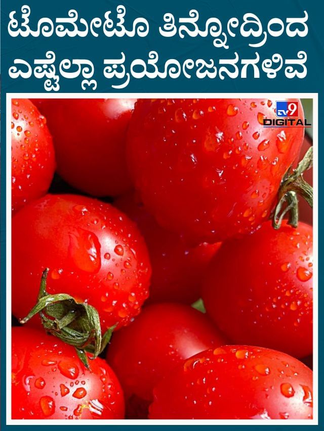 ಟೊಮೇಟೊದ ಆರೋಗ್ಯ ಪ್ರಯೋಜನ ಕೇಳಿದ್ರೆ ನೀವು ಶಾಕ್ ಆಗ್ತೀರಾ!