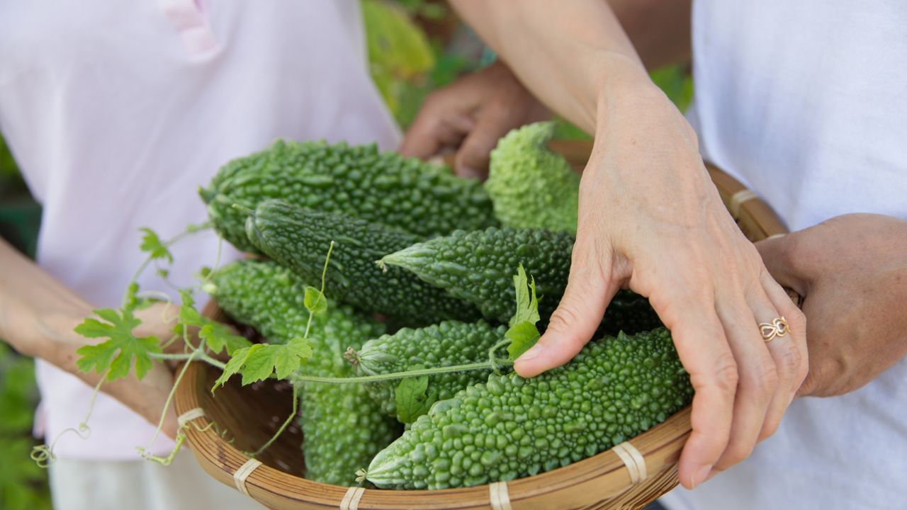 ಪಾಲಕ್, ಬಾಳೆಹಣ್ಣಿಗಿಂತ ದುಪ್ಪಟ್ಟು ಶಕ್ತಿ ಇರುವ ಈ ತರಕಾರಿ ಗರ್ಭಿಣಿಯರಿಗೆ, ಹಾಲುಣಿಸುವ ತಾಯಂದಿರಿಗೆ ಒಳ್ಳೆಯದಲ್ಲ