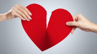 Optical Illusion: ಈ ಚಿತ್ರದಲ್ಲಿರುವ ಕಲ್ಲುಗಳ ಮಧ್ಯೆ ಅಡಗಿರುವ ಕಪ್ಪೆಯನ್ನು ಹುಡುಕಲು ಸಾಧ್ಯವೆ?