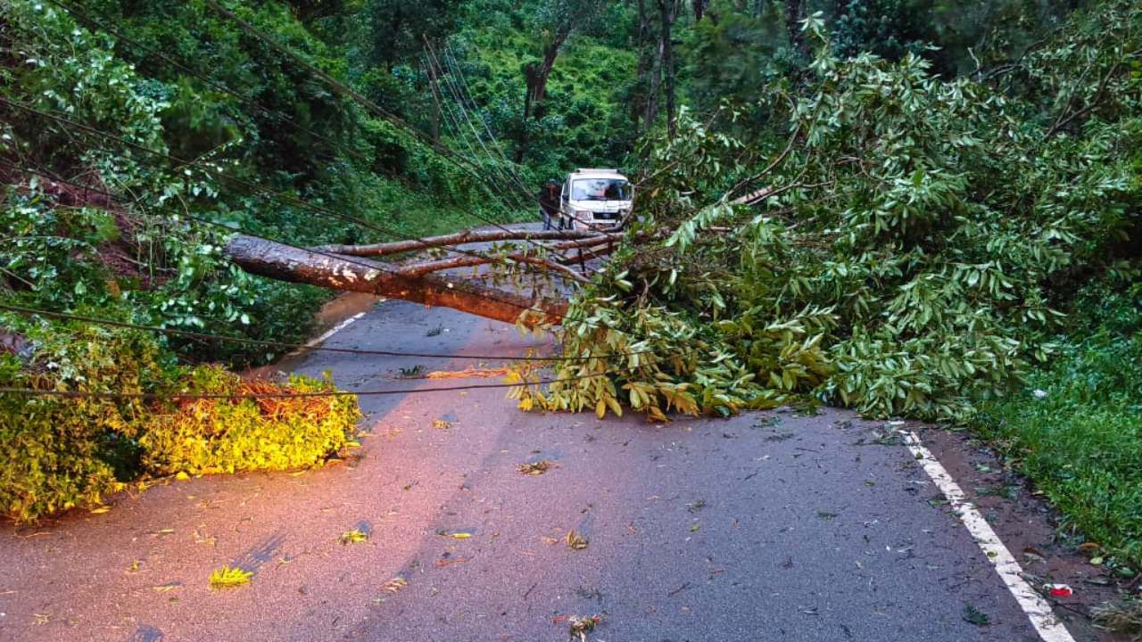 ಚಿಕ್ಕಮಗಳೂರಿನಲ್ಲಿ ಭಾರೀ ಮಳೆಗೆ ಧರೆಗುರುಳಿದ ಮರಗಳು: ರಸ್ತೆ ಸಂಪೂರ್ಣ ಬಂದ್​