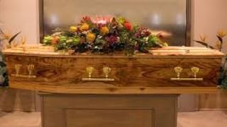 Video: ಉದ್ಯಾನವನಕ್ಕೆ ಭೇಟಿ ನೀಡಿದ ಮಹಿಳೆಯ ಕೆನ್ನೆಗೆ ಚುಂಬಿಸಿದ ಮರಿಯಾನೆ