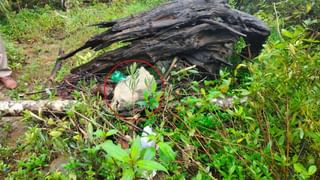 ನಿಮ್ಮ ಅಧ್ಯಕ್ಷತೆಯಲ್ಲೇ ಕಾರ್ಯಕ್ರಮ ಆಗಬೇಕು: ಸಿಗಂದೂರು ಸೇತುವೆ ಉದ್ಘಾಟನೆಗೆ ಸಿದ್ದರಾಮಯ್ಯಗೆ 2 ಬಾರಿ ಆಹ್ವಾನಿಸಿದ್ದ ಗಡ್ಕರಿ