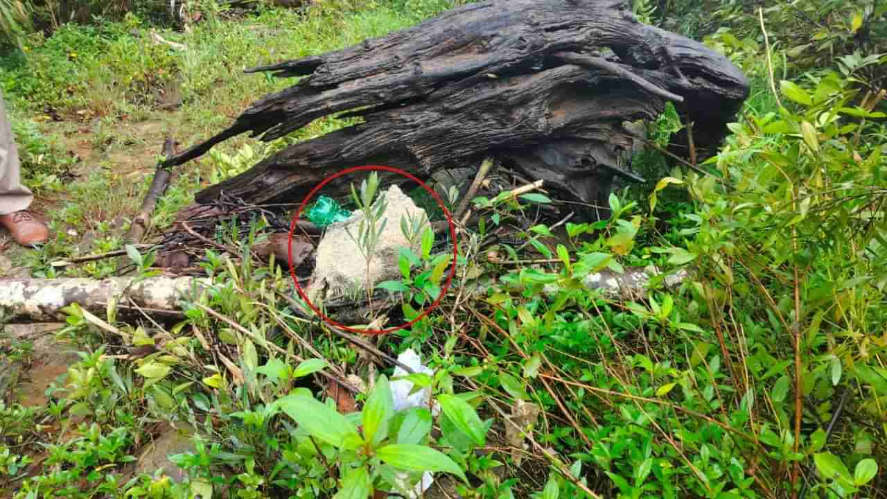 ಉಡುಪಿ: ಕಾರ್ಕಳದ ಮಲೆಬೆಟ್ಟು ಬಳಿ ಹಸುವಿನ ದೇಹದ ಭಾಗಗಳು ಪತ್ತೆ