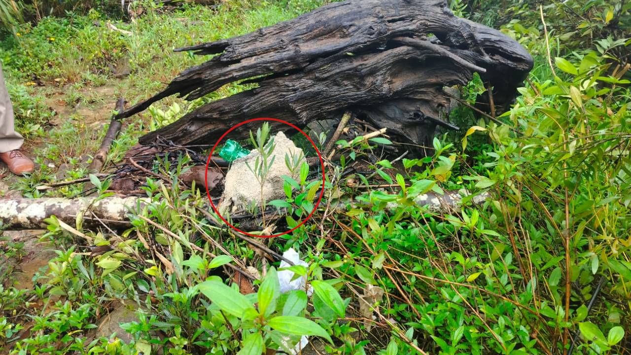 ಉಡುಪಿ: ಕಾರ್ಕಳದ ಮಲೆಬೆಟ್ಟು ಬಳಿ ಹಸುವಿನ ದೇಹದ ಭಾಗಗಳು ಪತ್ತೆ