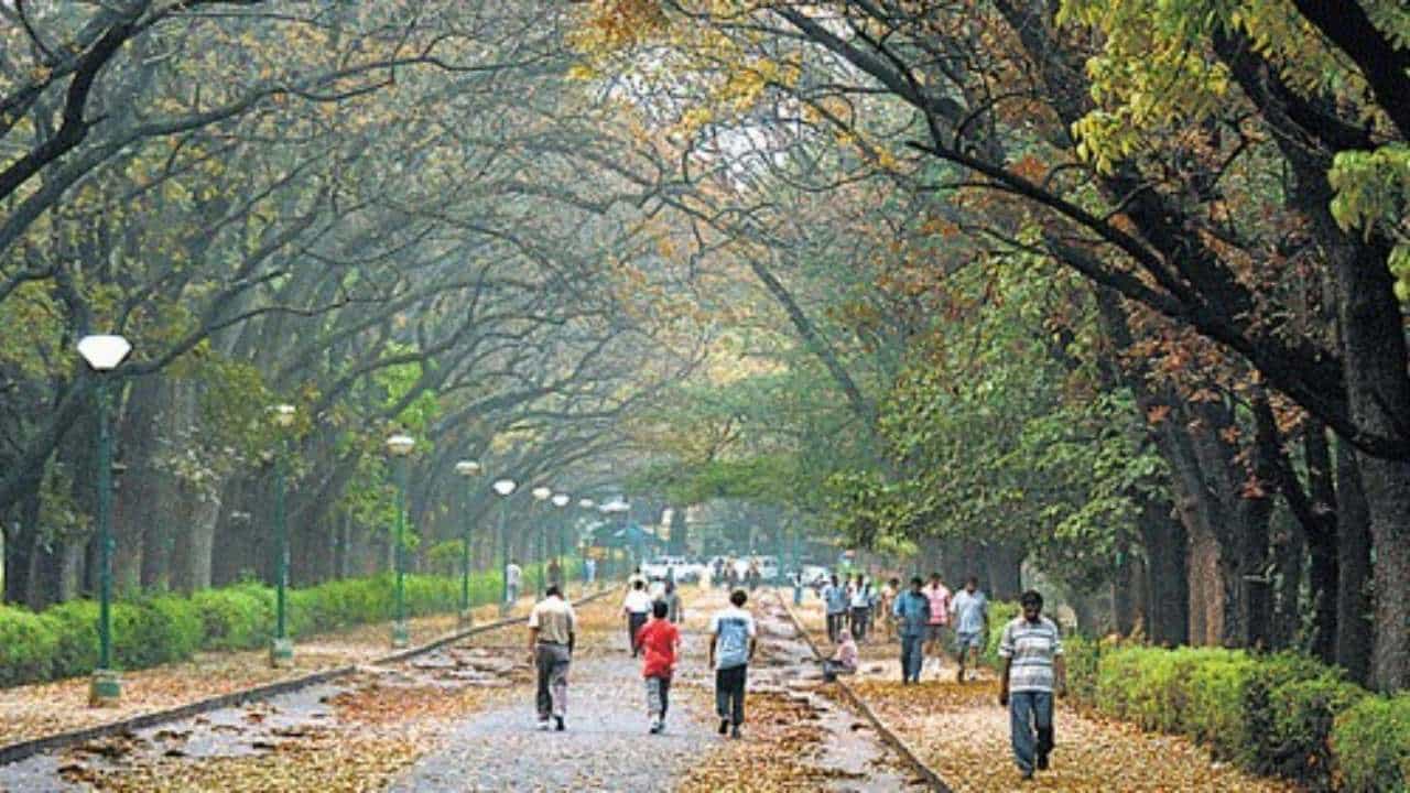 ಪರಿಸರದ ಪಾಠ ಮಾಡೋಕೆ ತೋಟಗಾರಿಕೆ ಇಲಾಖೆ ಸಜ್ಜು: ಇನ್ಮುಂದೆ ಕಬ್ಬನ್ ಪಾರ್ಕ್ನಲ್ಲಿ ಗೈಡ್ ಜೊತೆ ನೇಚರ್ ವಾಕ್! ಪರಿಸರದ ಪಾಠ ಮಾಡೋಕೆ ತೋಟಗಾರಿಕೆ ಇಲಾಖೆ ಸಜ್ಜು: ಇನ್ಮುಂದೆ ಕಬ್ಬನ್ ಪಾರ್ಕ್ನಲ್ಲಿ ಗೈಡ್ ಜೊತೆ ನೇಚರ್ ವಾಕ್!