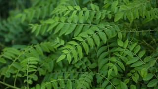 ಈ ವಸ್ತುಗಳನ್ನು ತಪ್ಪಿಯೂ ಬಾತ್‌ರೂಮ್‌ನಲ್ಲಿ ಇಡಬಾರದು; ಯಾಕೆ ಗೊತ್ತಾ?