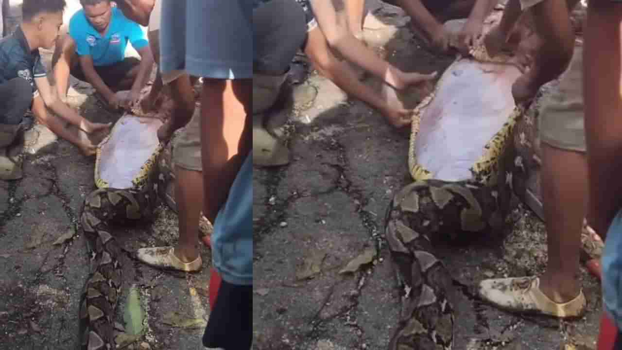 ಇಂಡೋನೇಷ್ಯಾ: ದೈತ್ಯ ಹೆಬ್ಬಾವಿನ ಹೊಟ್ಟೆಯಲ್ಲಿತ್ತು ರೈತನ ಶವ
